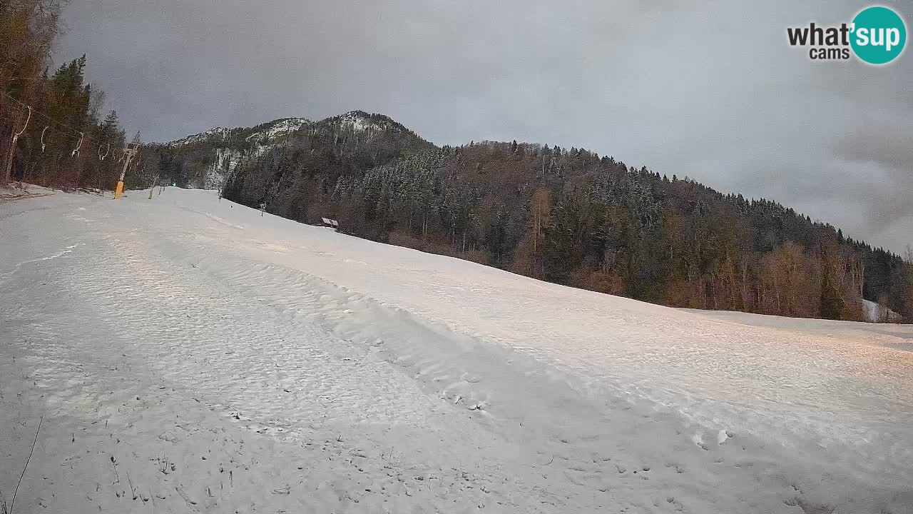 Ski Kranjska Gora | Brsnina