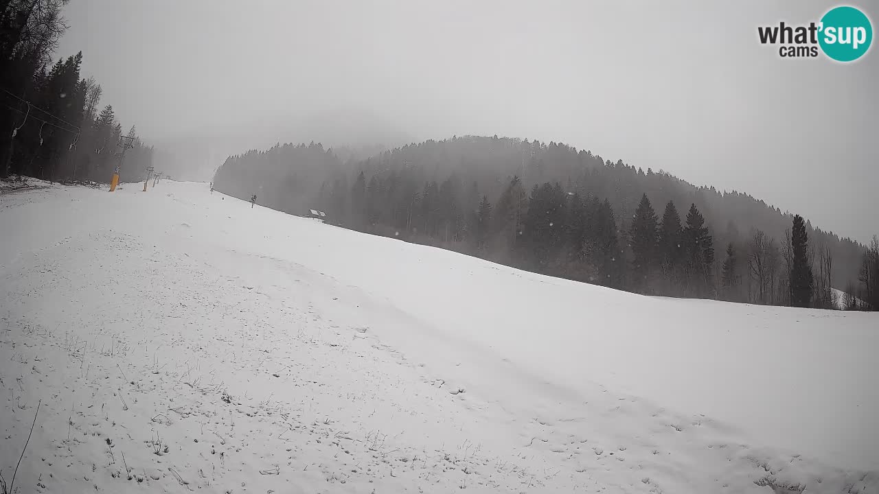 Ski Kranjska Gora | Brsnina