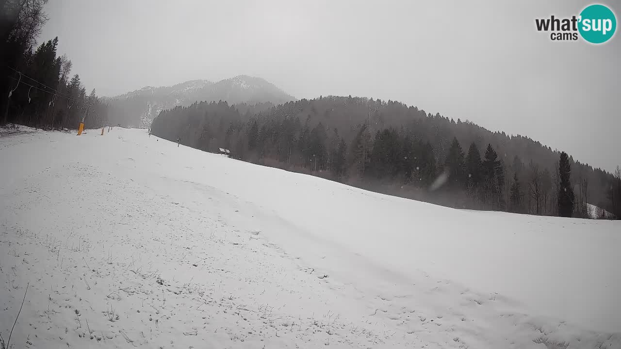 Kranjska Gora Station de ski | Brsnina