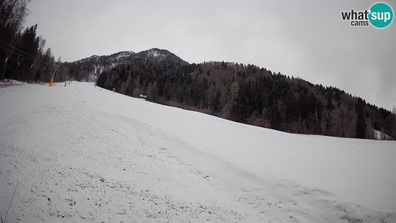 Kranjska Gora SKIJANJE | Brsnina