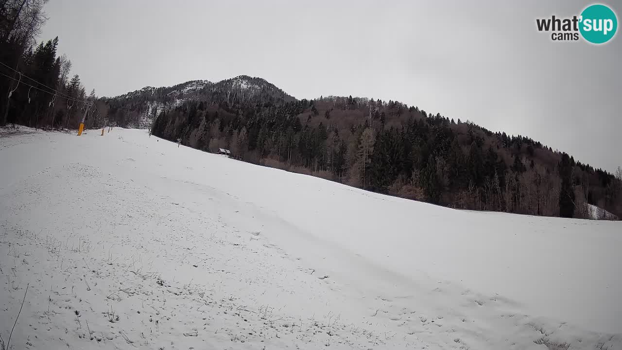 Ski Kranjska Gora | Brsnina