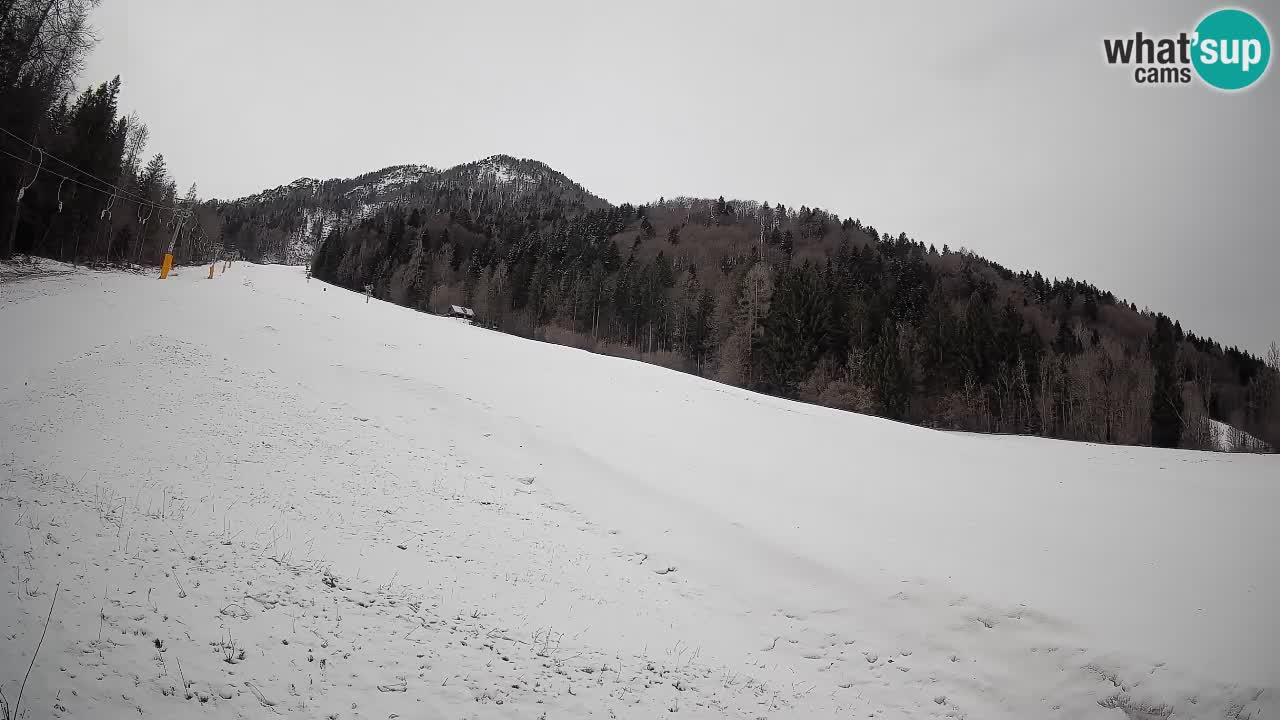 Kranjska Gora Station de ski | Brsnina