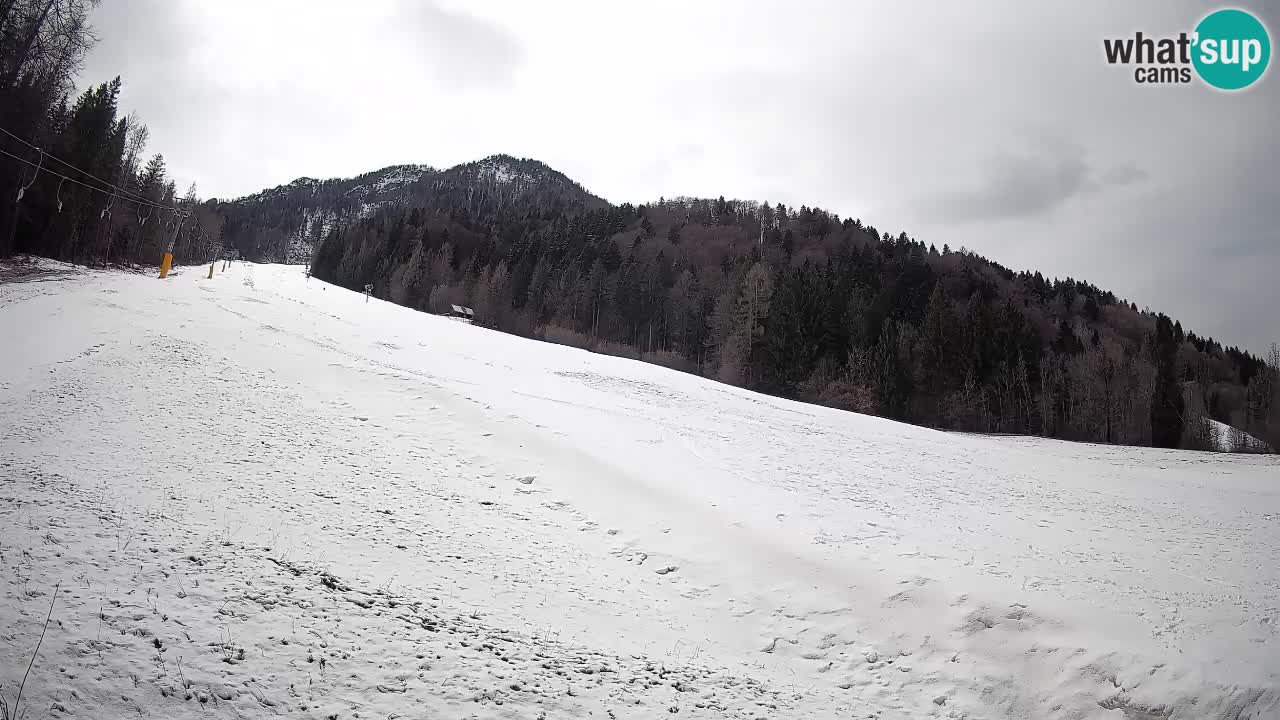 Kranjska Gora Station de ski | Brsnina