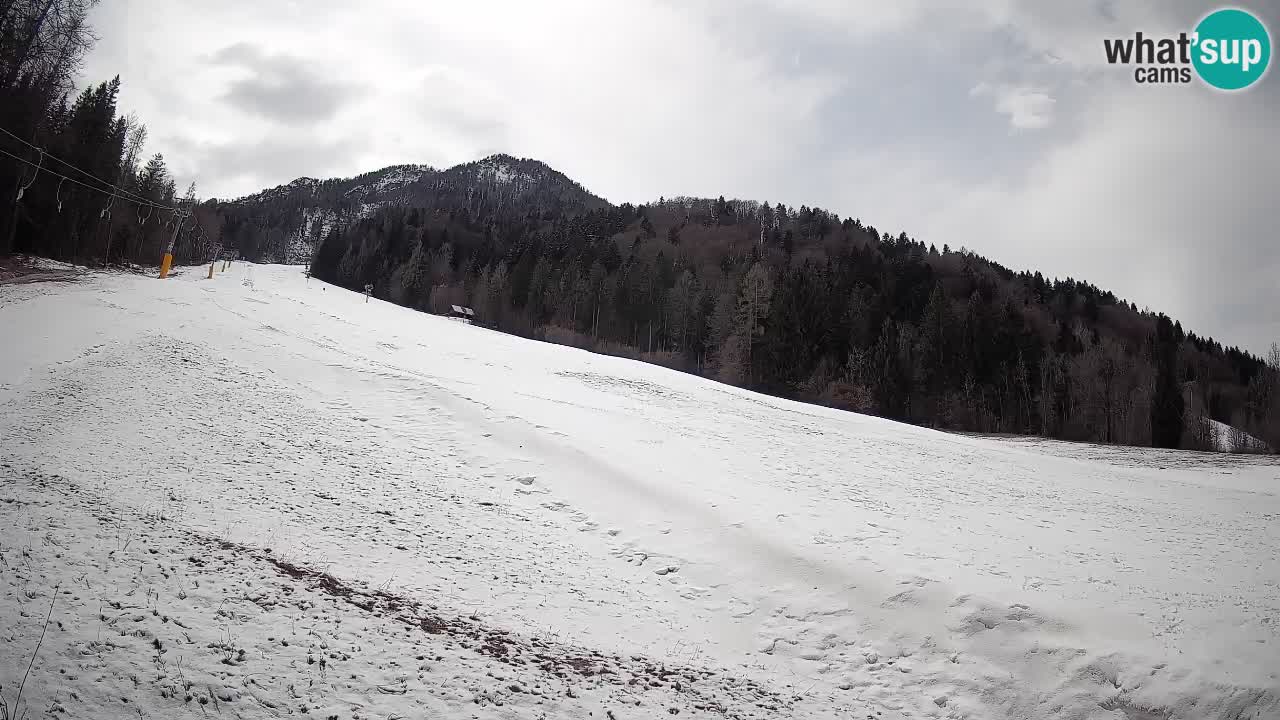 RTC Skigebiet Kranjska Gora | Brsnina