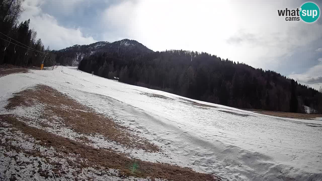 RTC Kranjska Gora | Brsnina