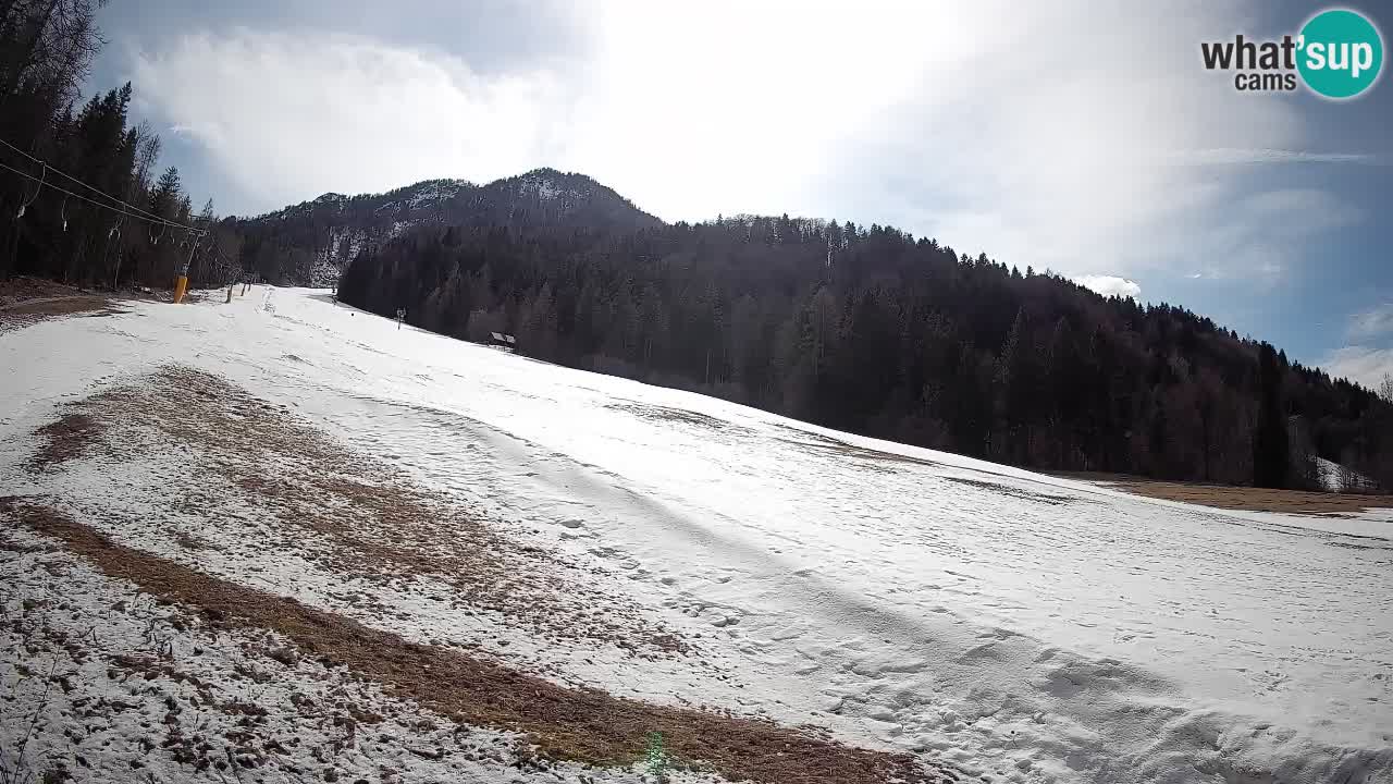 Kranjska Gora SKIJANJE | Brsnina