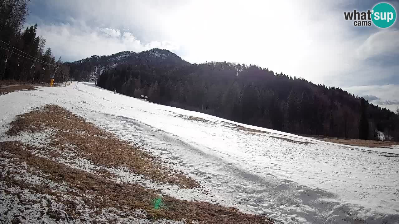Kranjska Gora Station de ski | Brsnina