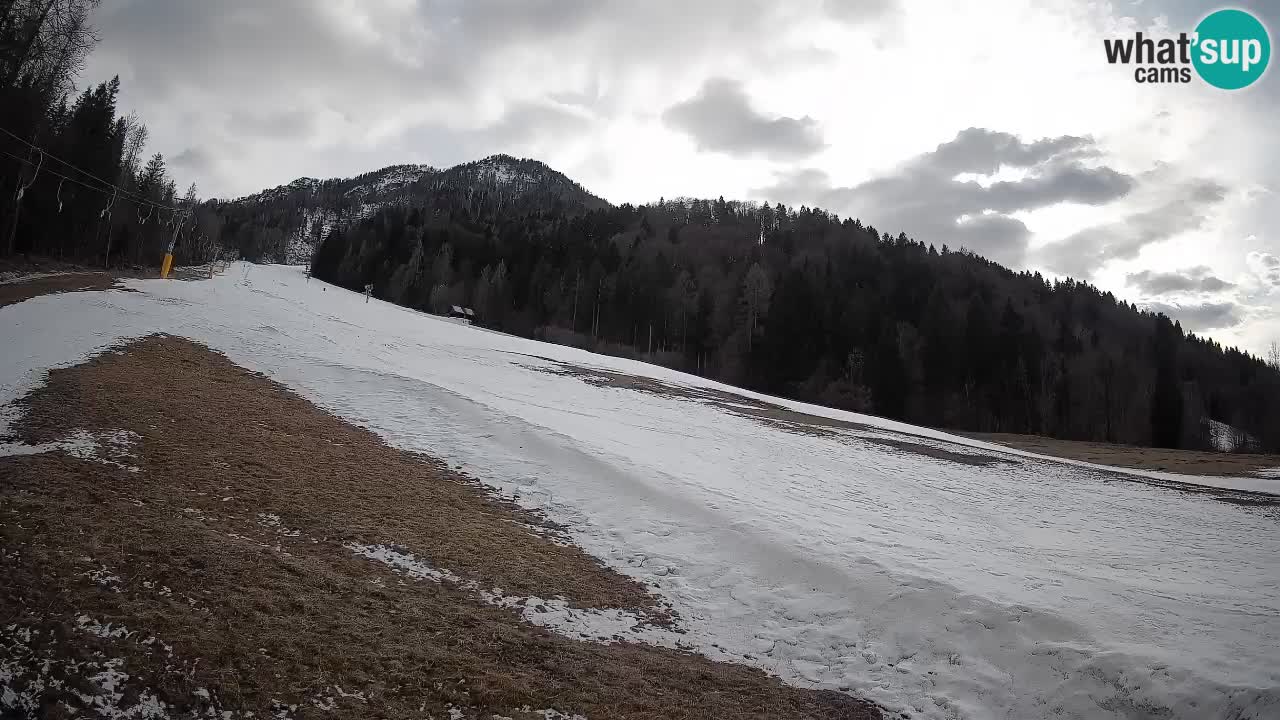 Kranjska Gora SKIJANJE | Brsnina