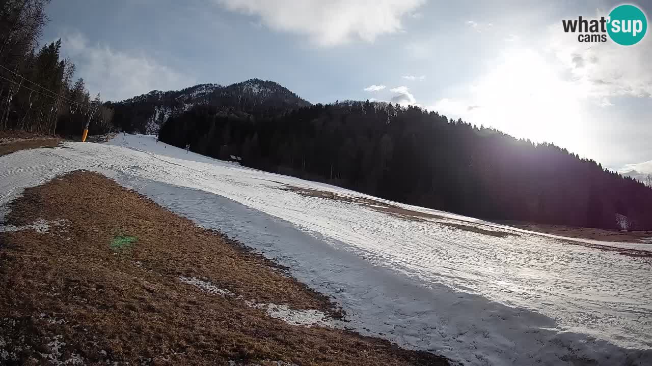 RTC Kranjska Gora | Brsnina