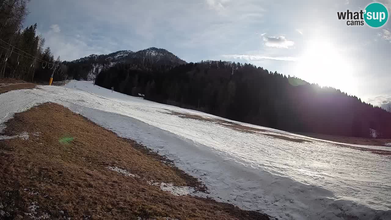 Kranjska Gora Station de ski | Brsnina