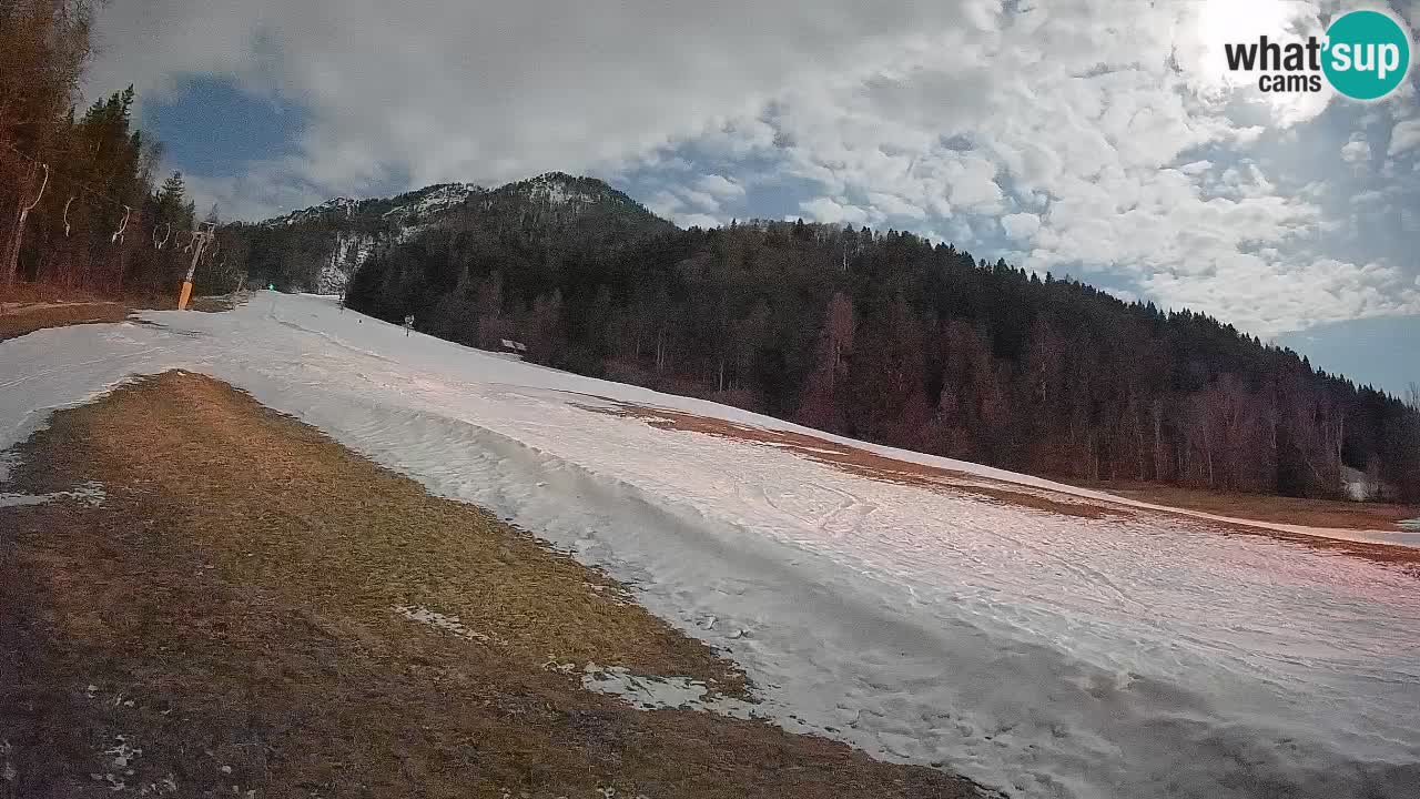 Esquí Kranjska Gora | Brsnina