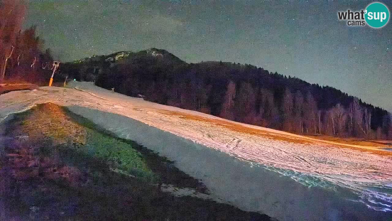 Ski Kranjska Gora | Brsnina