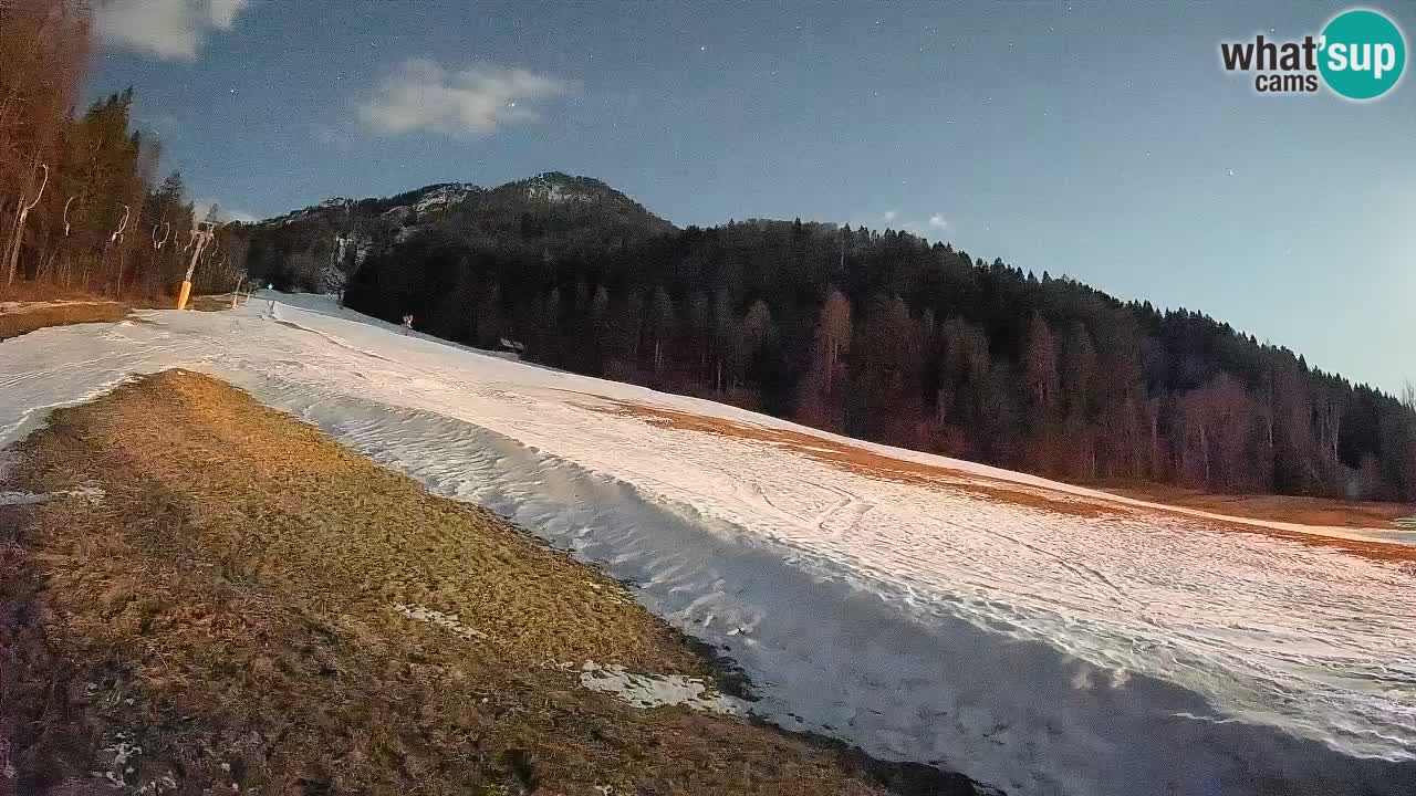 Esquí Kranjska Gora | Brsnina
