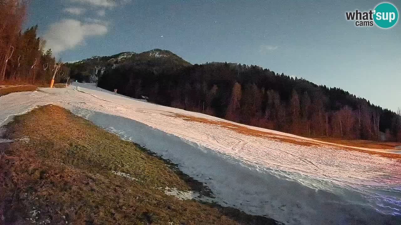 Ski Kranjska Gora | Brsnina