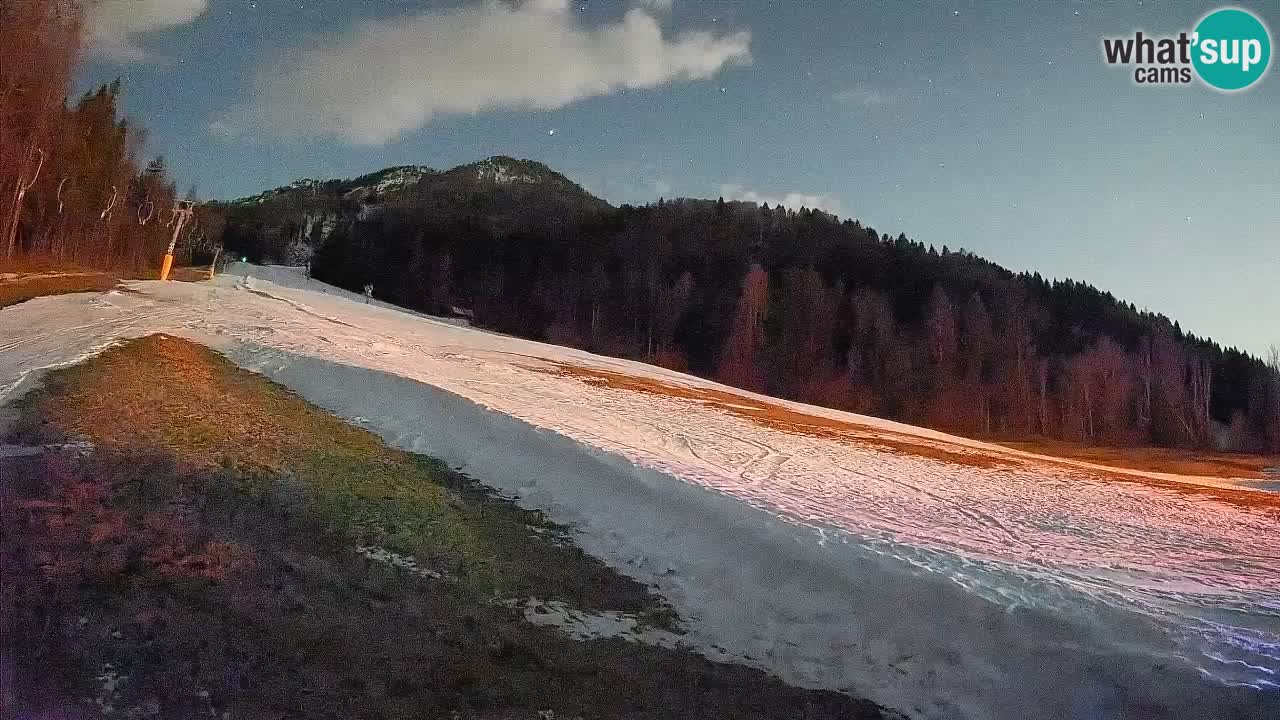 RTC Kranjska Gora | Brsnina