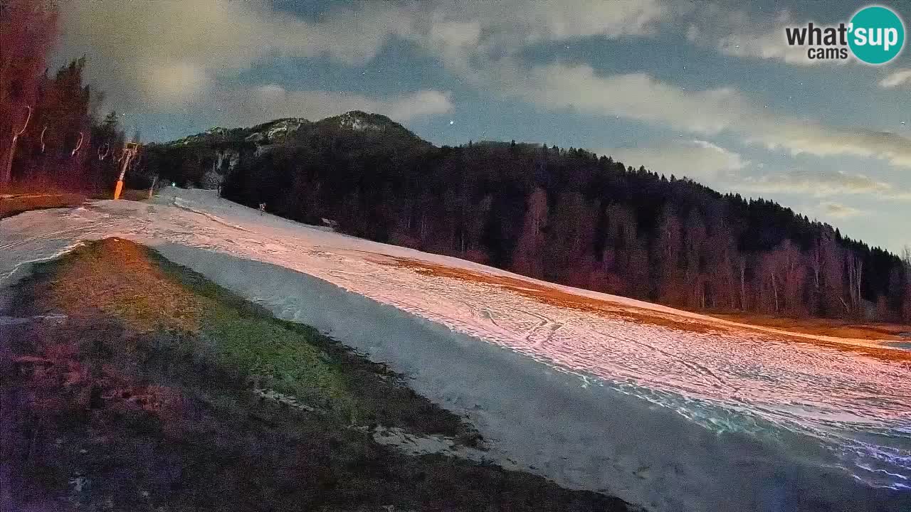 Ski Kranjska Gora | Brsnina