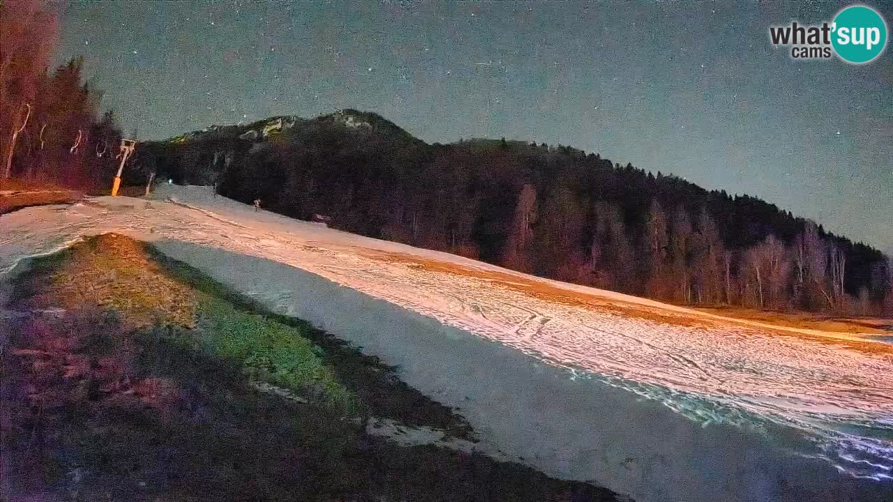 Ski Kranjska Gora | Brsnina