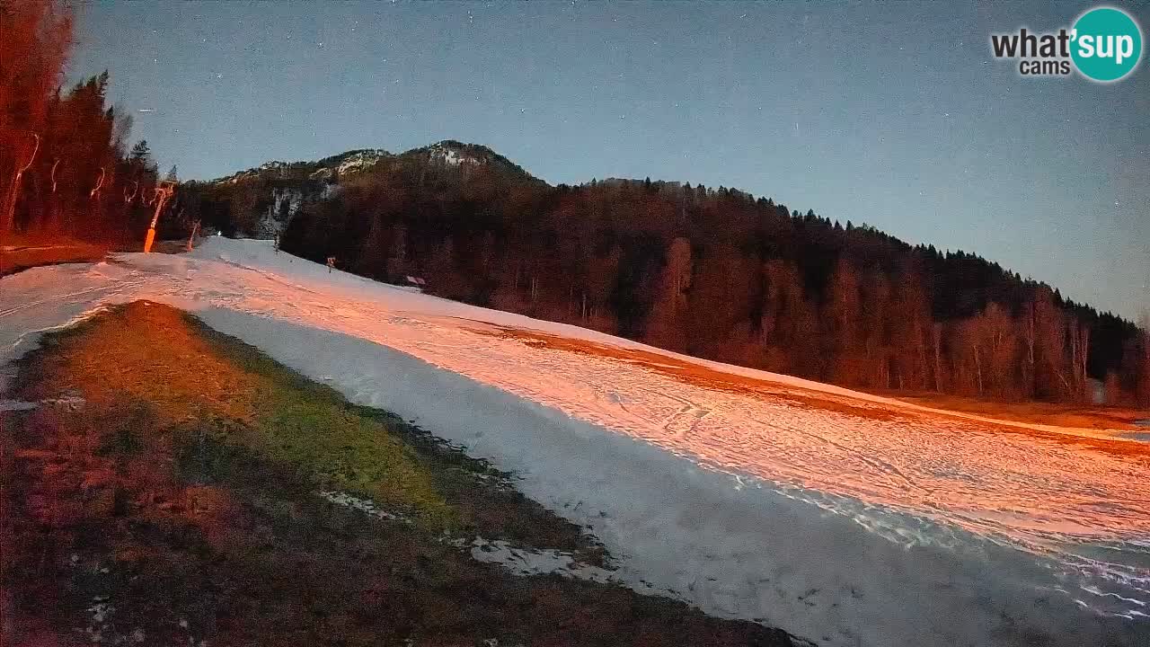 Comprensorio sciistico Kranjska Gora | Brsnina