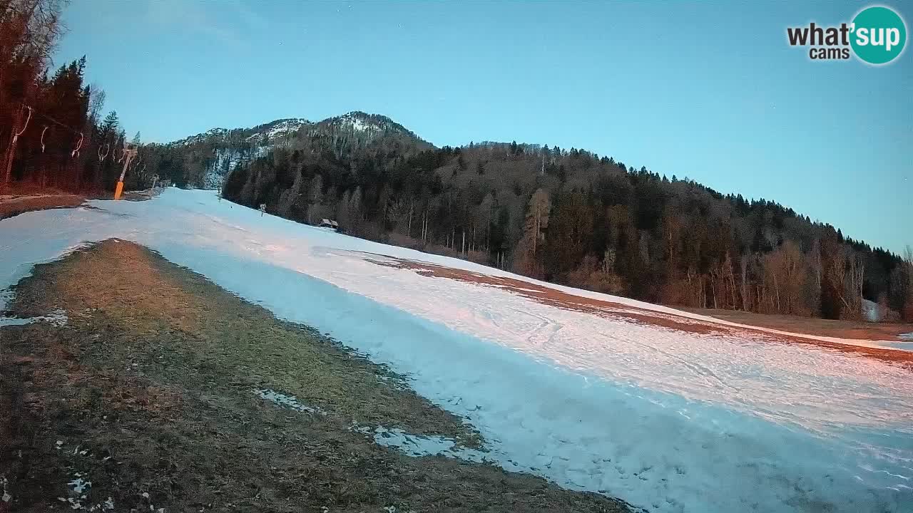 RTC Skigebiet Kranjska Gora | Brsnina