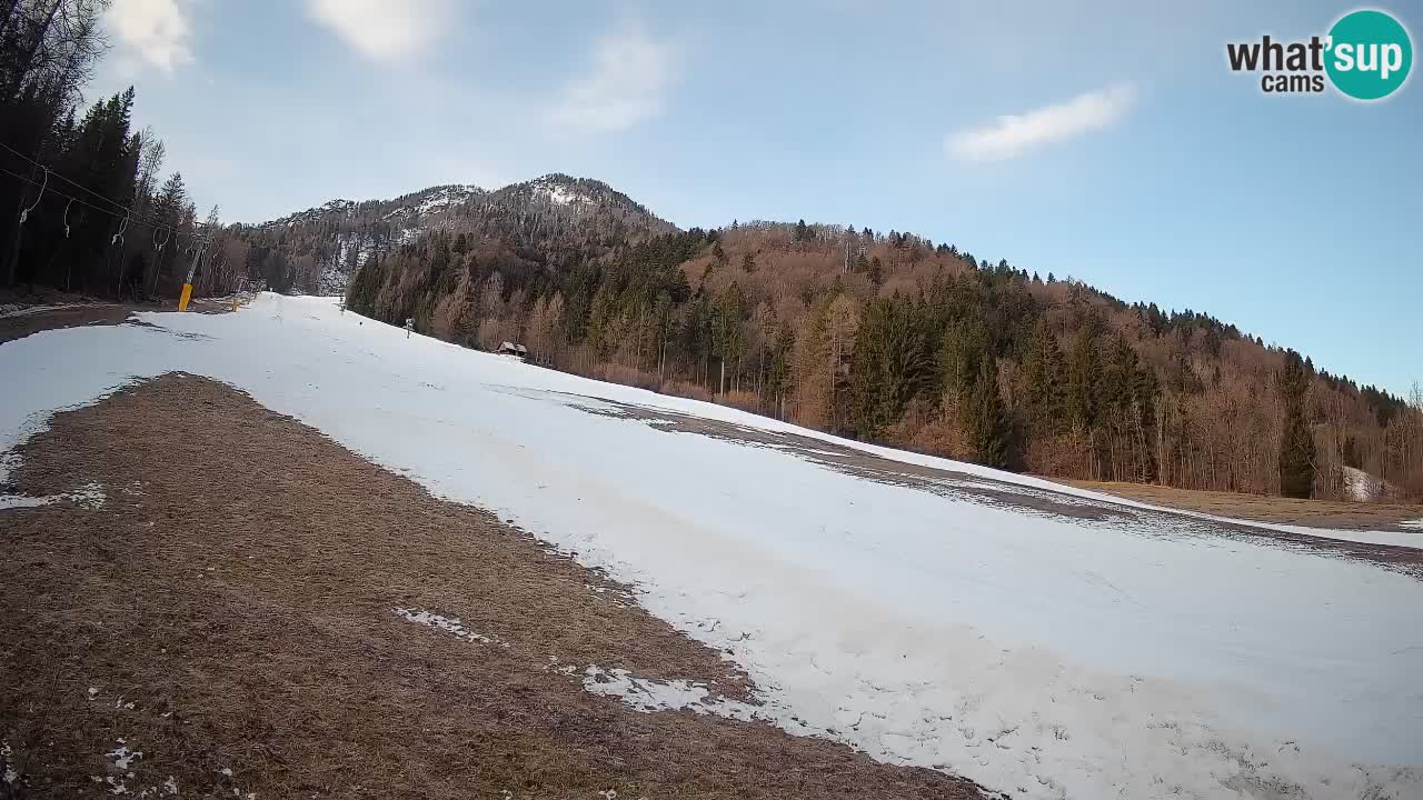 RTC Skigebiet Kranjska Gora | Brsnina