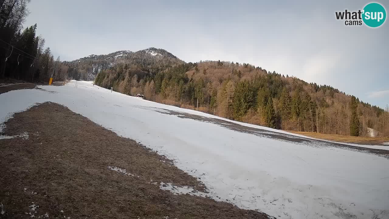 Ski Kranjska Gora | Brsnina