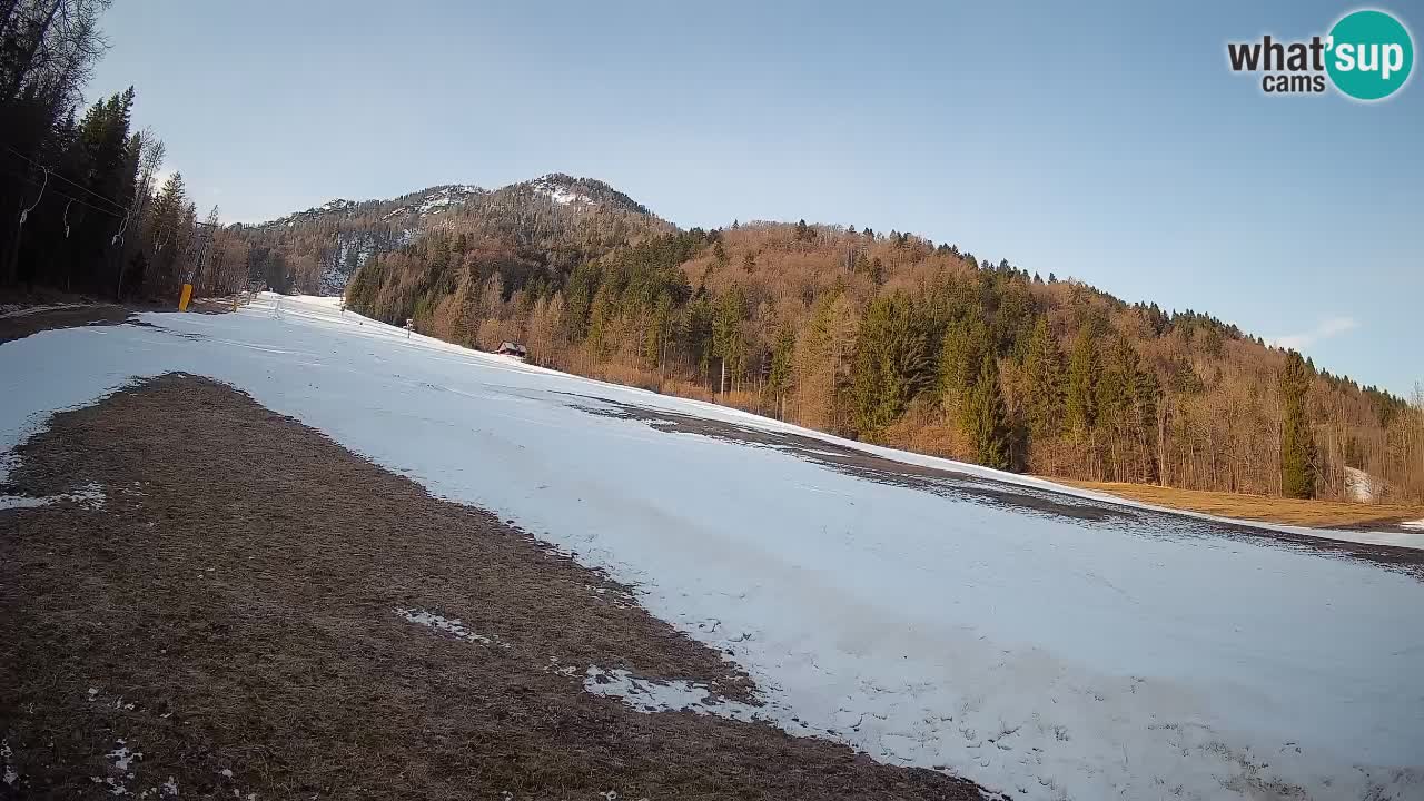 Ski Kranjska Gora | Brsnina