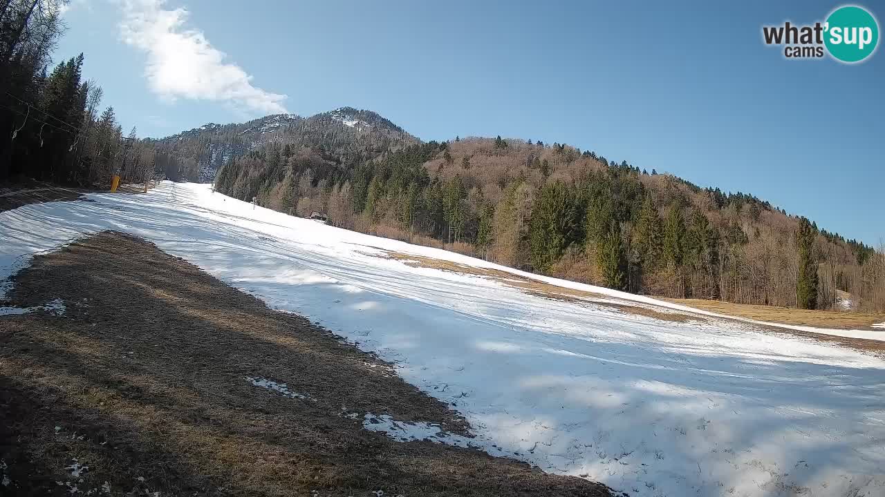 Ski Kranjska Gora | Brsnina
