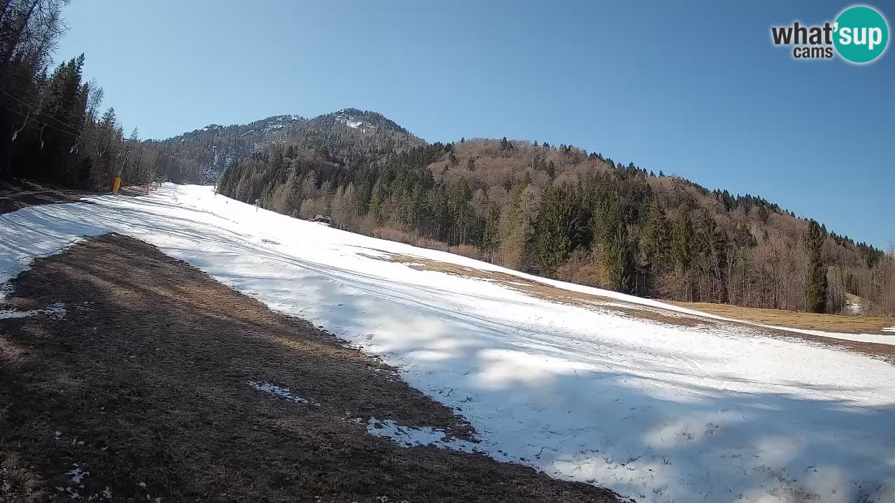 Esquí Kranjska Gora | Brsnina