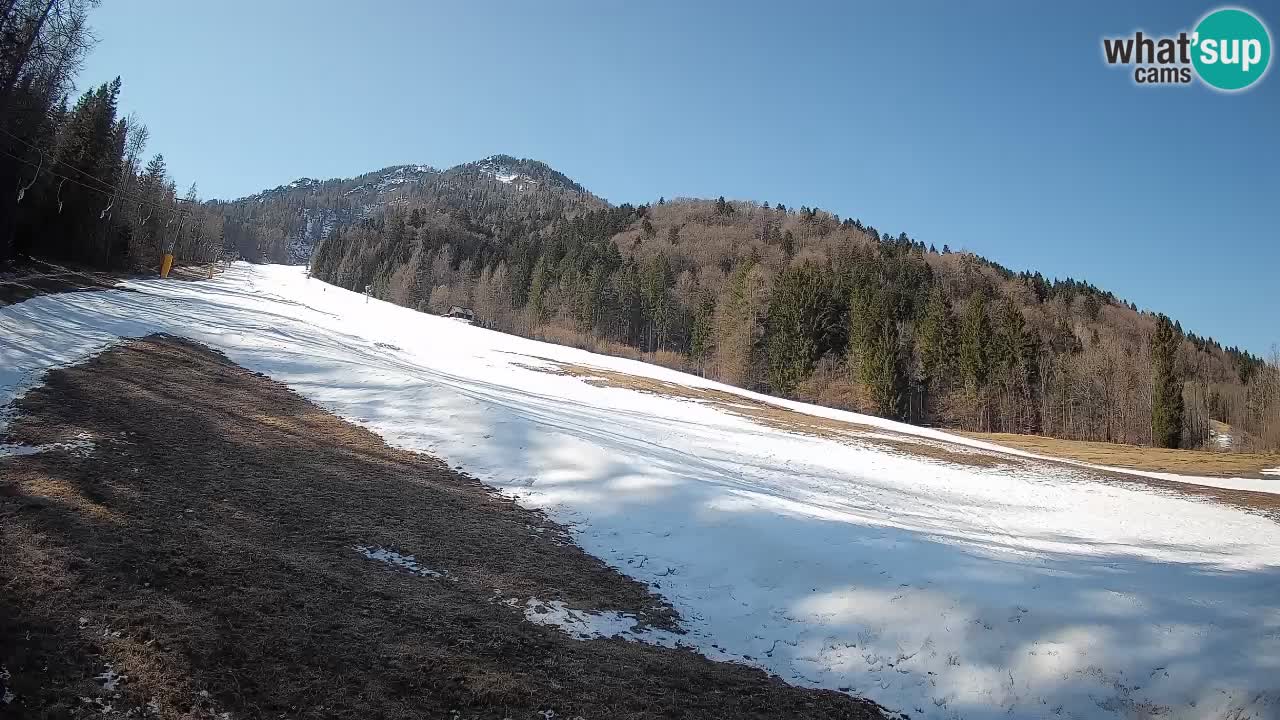 RTC Skigebiet Kranjska Gora | Brsnina