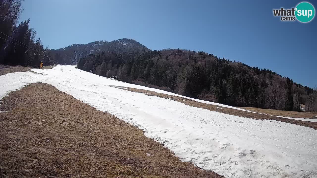 Kranjska Gora SKIJANJE | Brsnina