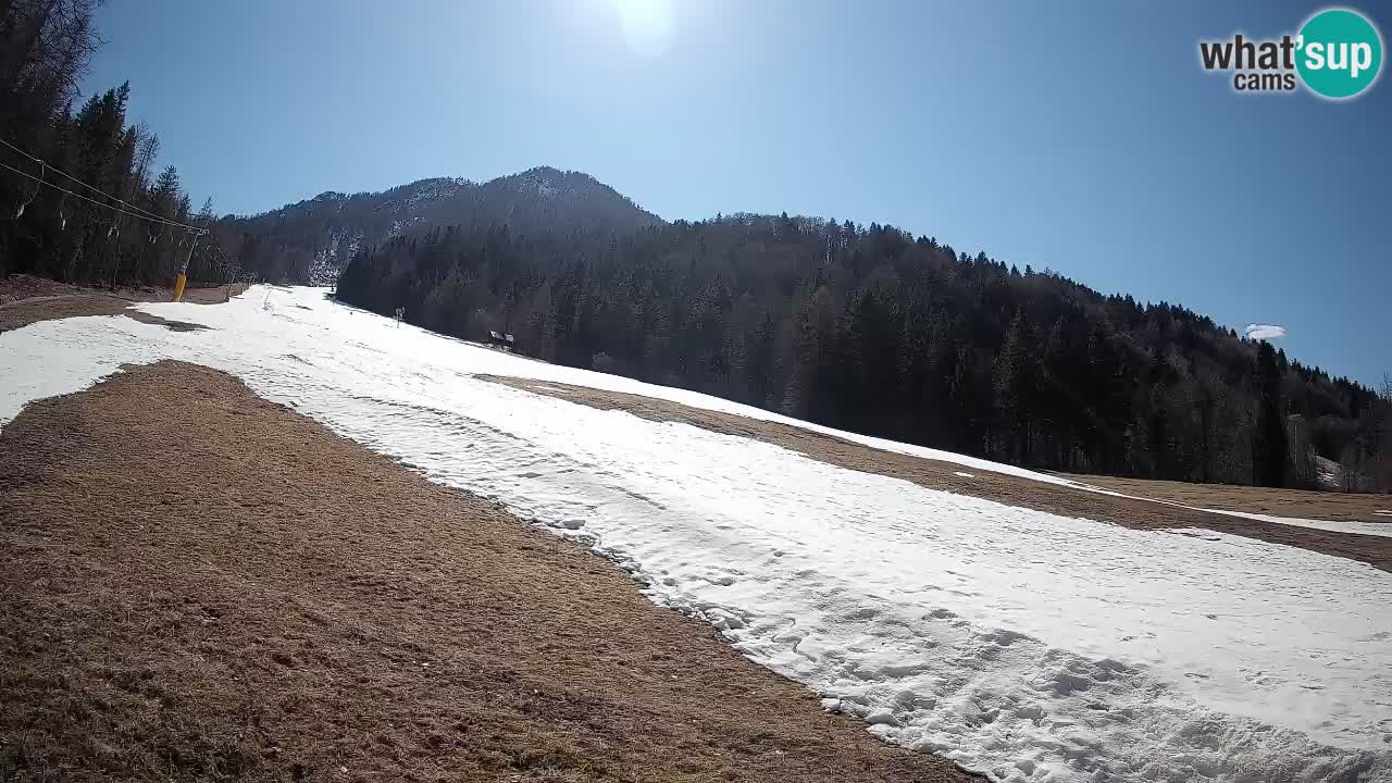 RTC Skigebiet Kranjska Gora | Brsnina