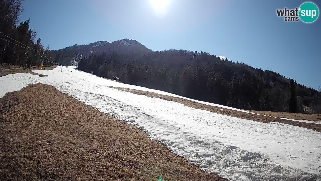 Esquí Kranjska Gora | Brsnina