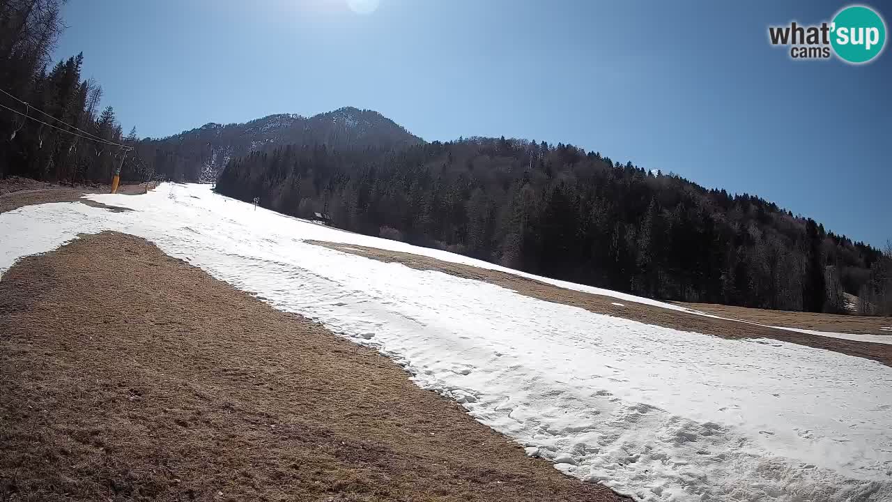 Ski Kranjska Gora | Brsnina