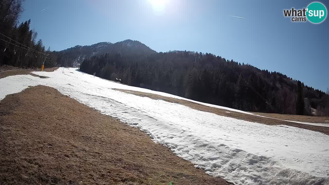 RTC Skigebiet Kranjska Gora | Brsnina