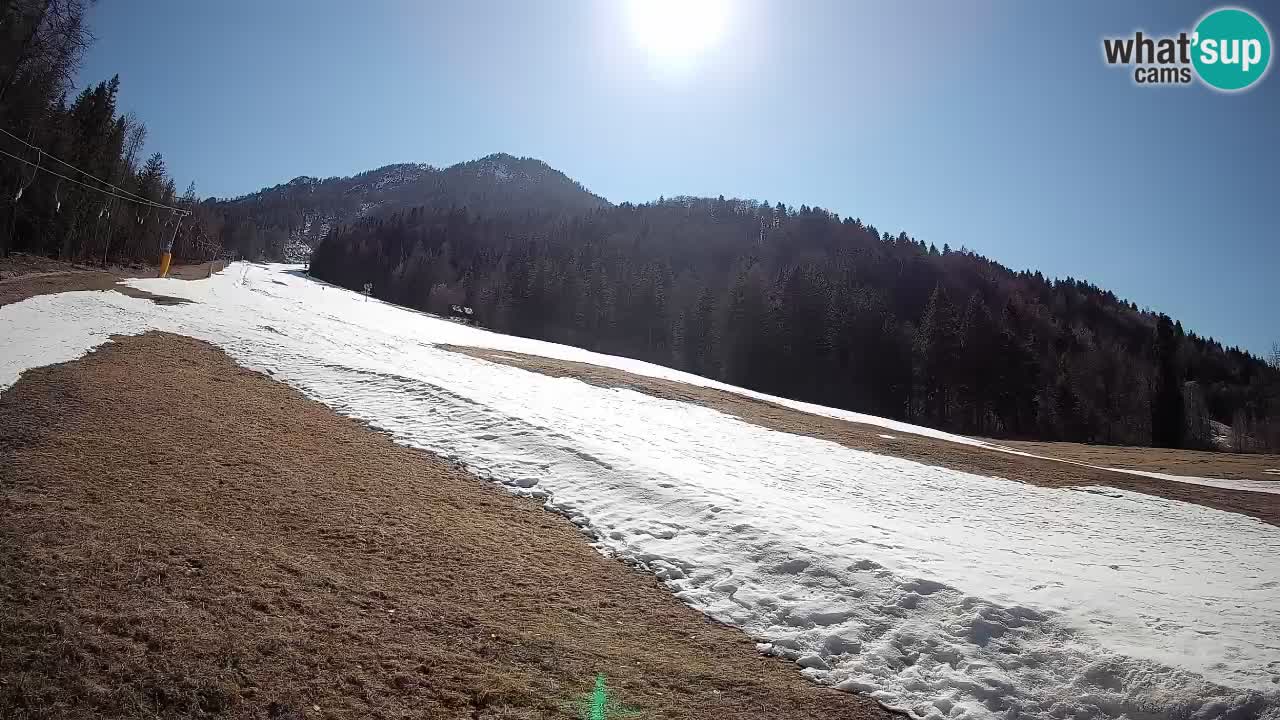 Kranjska Gora Station de ski | Brsnina