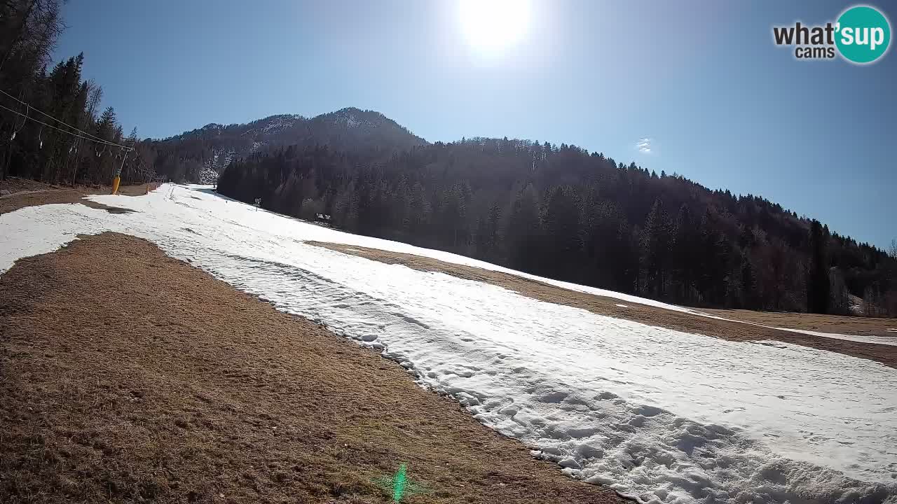 Ski Kranjska Gora | Brsnina