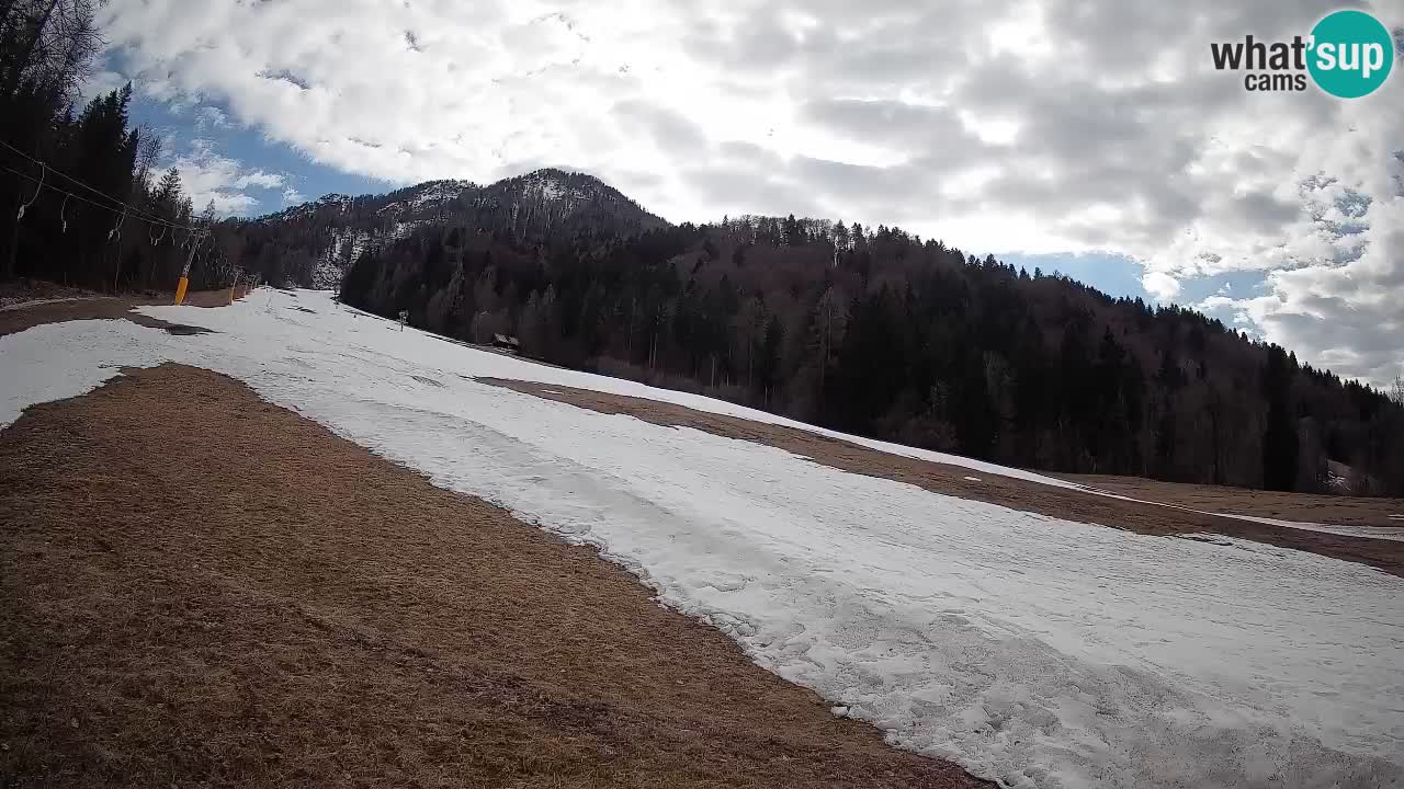 Kranjska Gora SKIJANJE | Brsnina