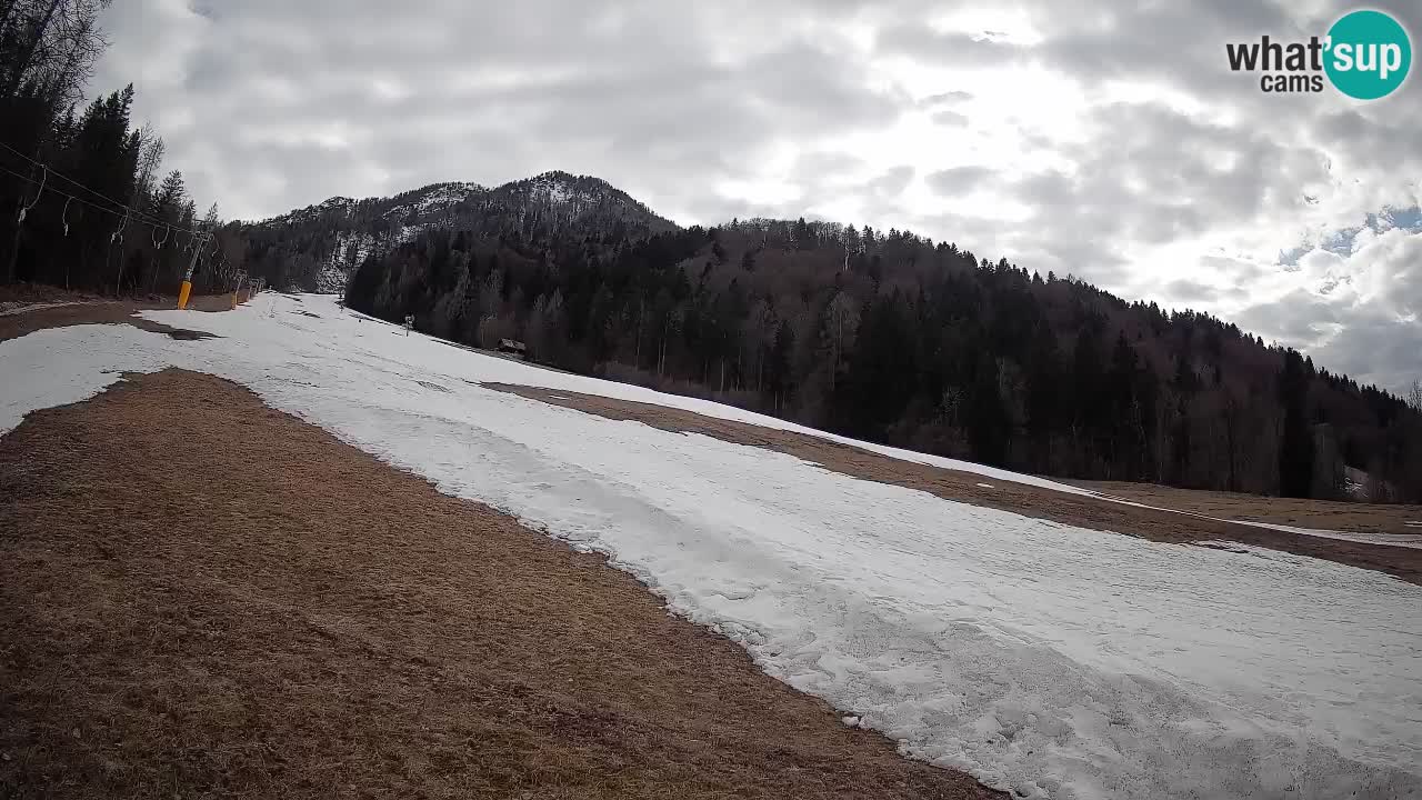 Ski Kranjska Gora | Brsnina