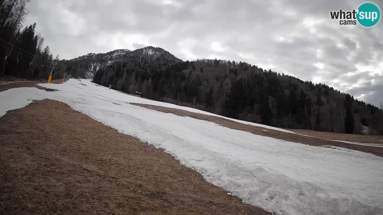 RTC Skigebiet Kranjska Gora | Brsnina