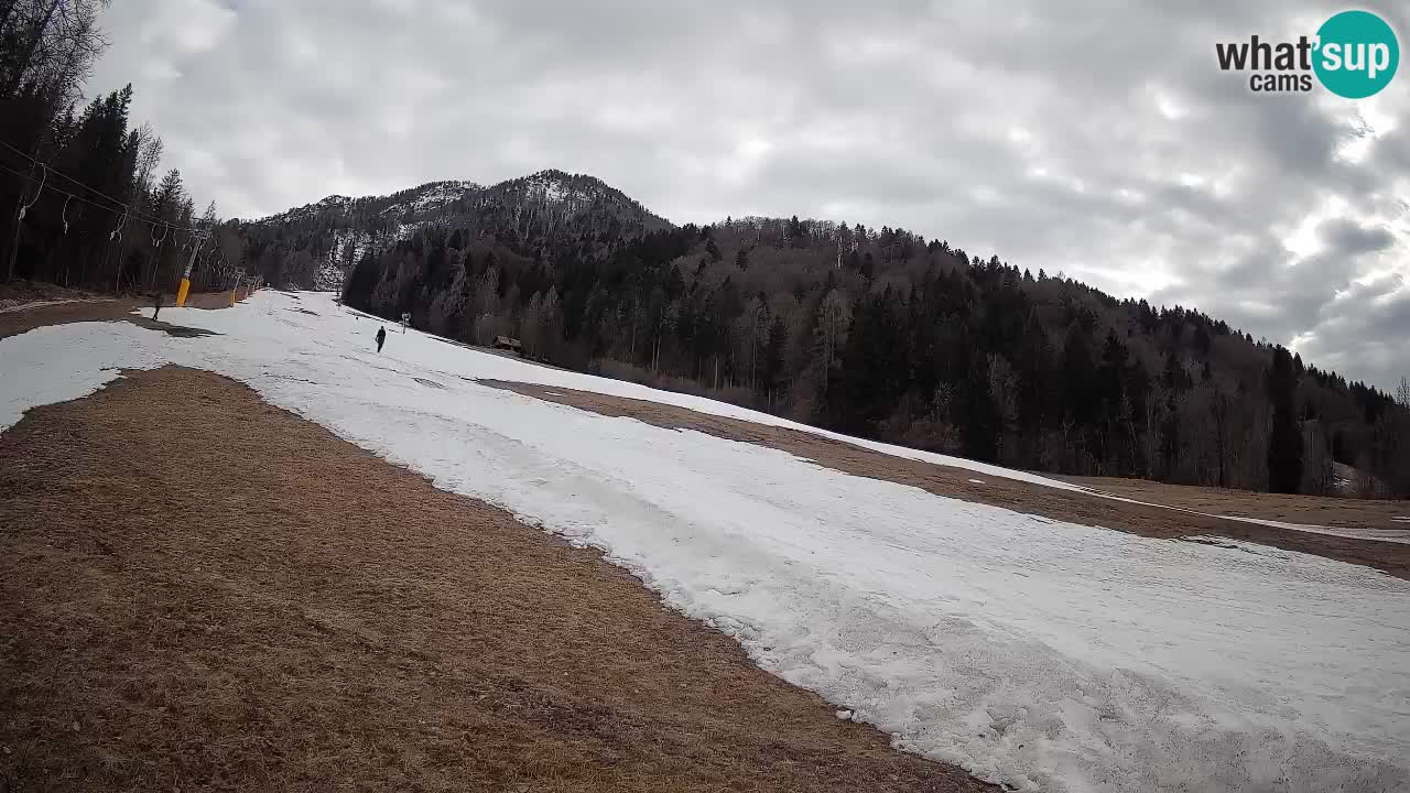 Comprensorio sciistico Kranjska Gora | Brsnina