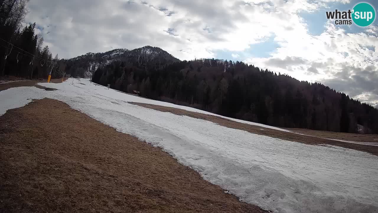 Esquí Kranjska Gora | Brsnina