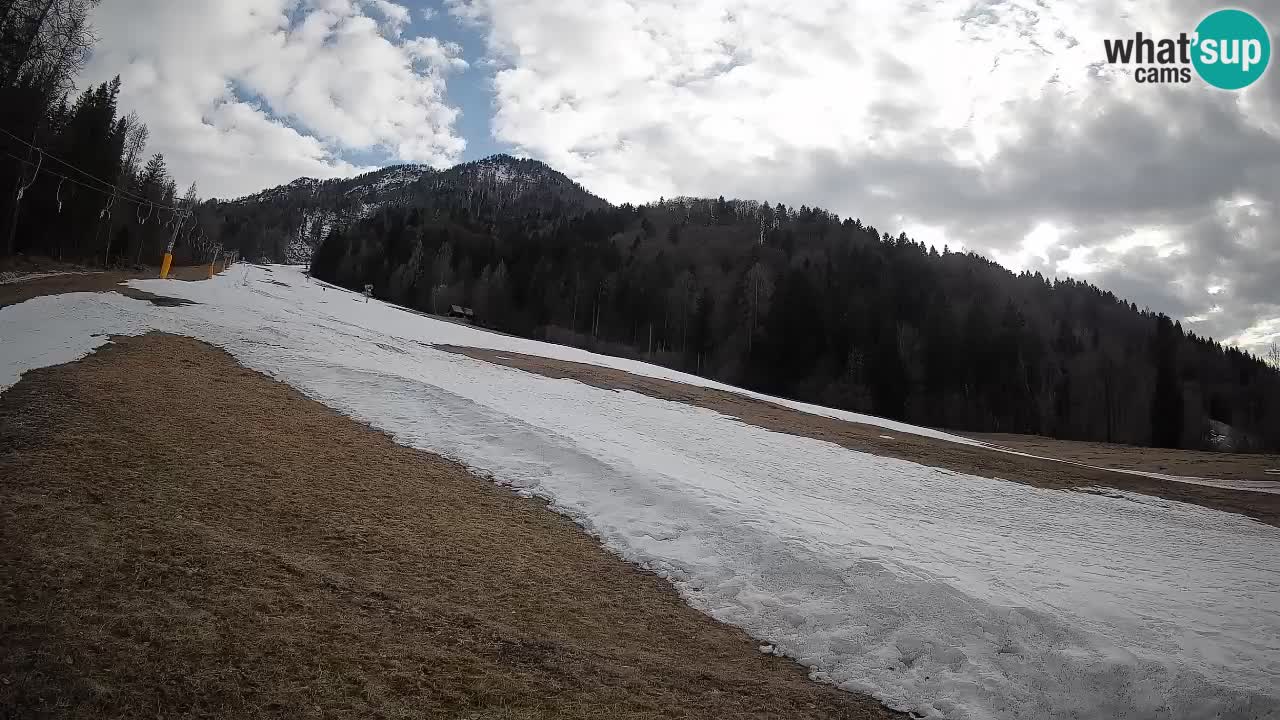 Comprensorio sciistico Kranjska Gora | Brsnina