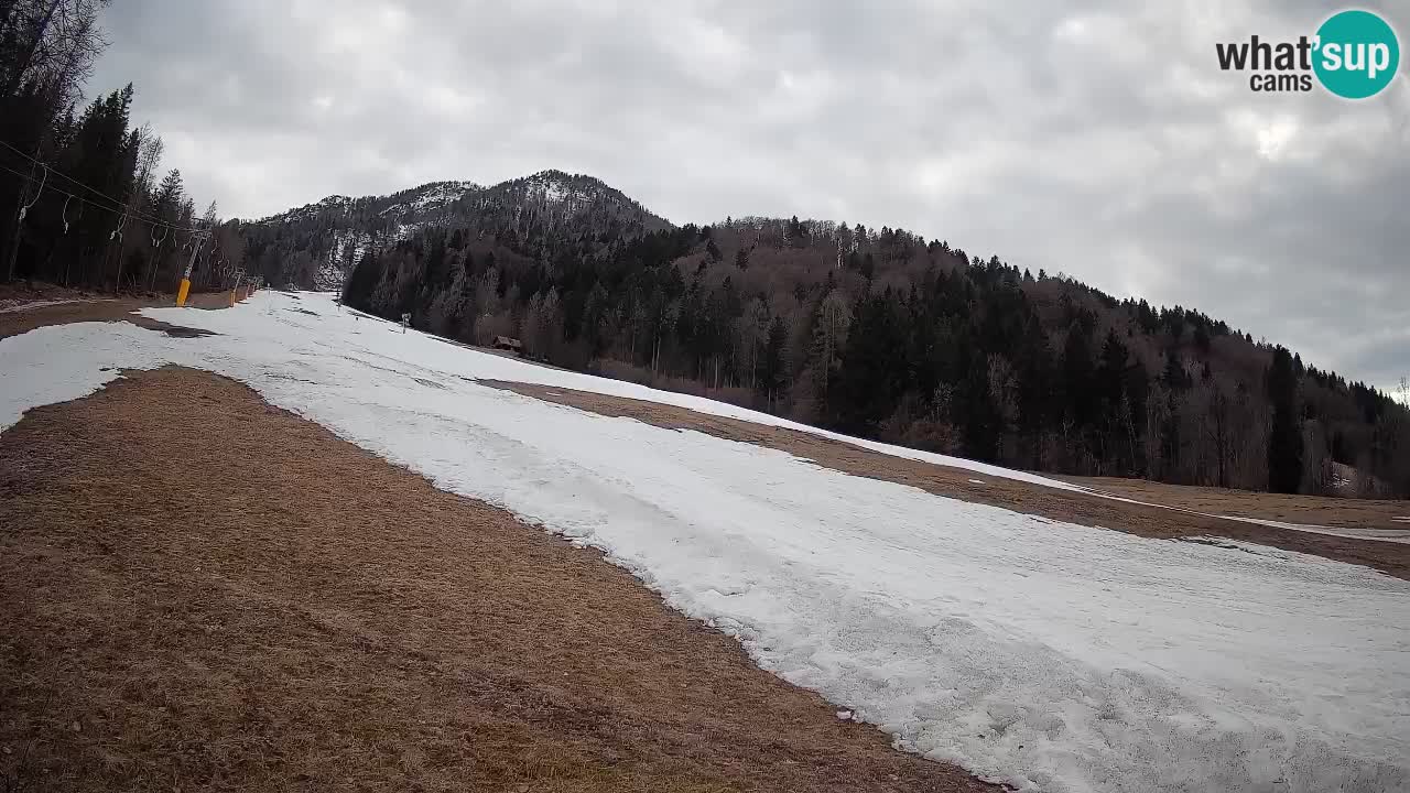 Kranjska Gora SKIJANJE | Brsnina