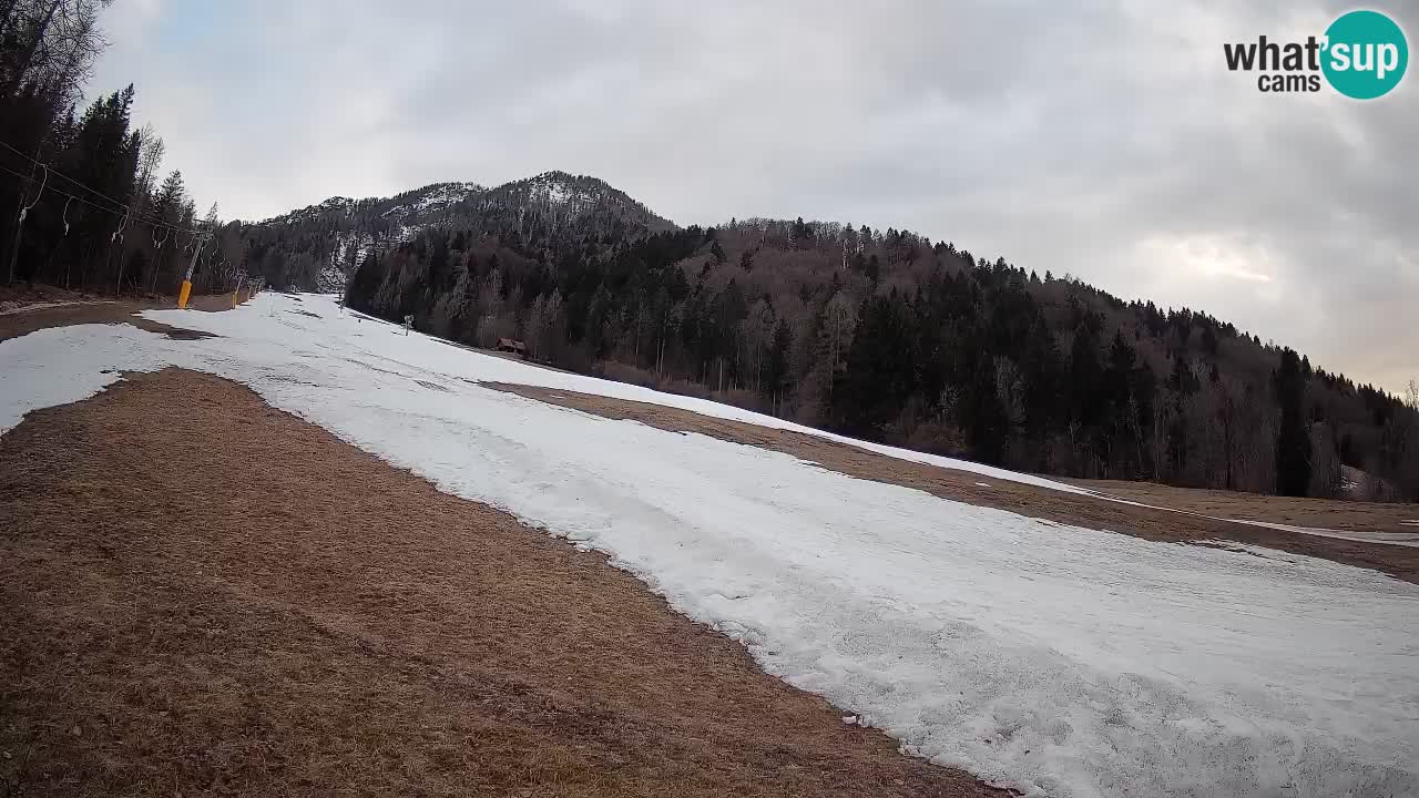 Comprensorio sciistico Kranjska Gora | Brsnina