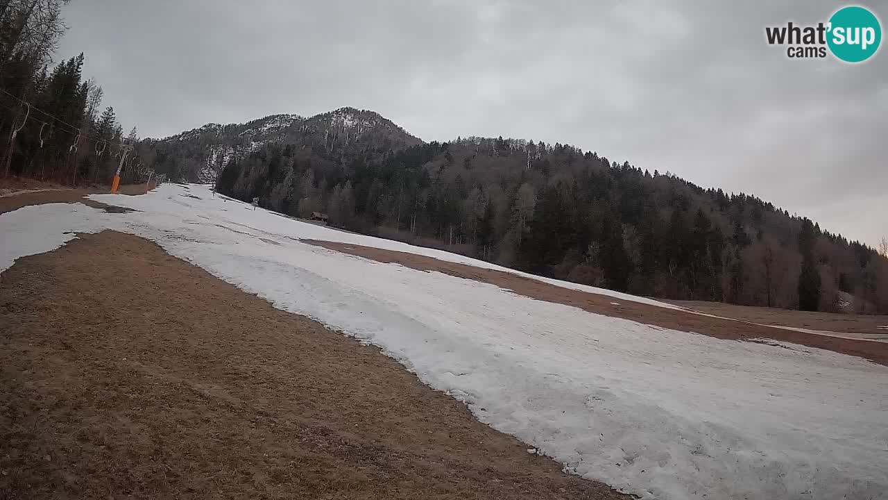 RTC Skigebiet Kranjska Gora | Brsnina