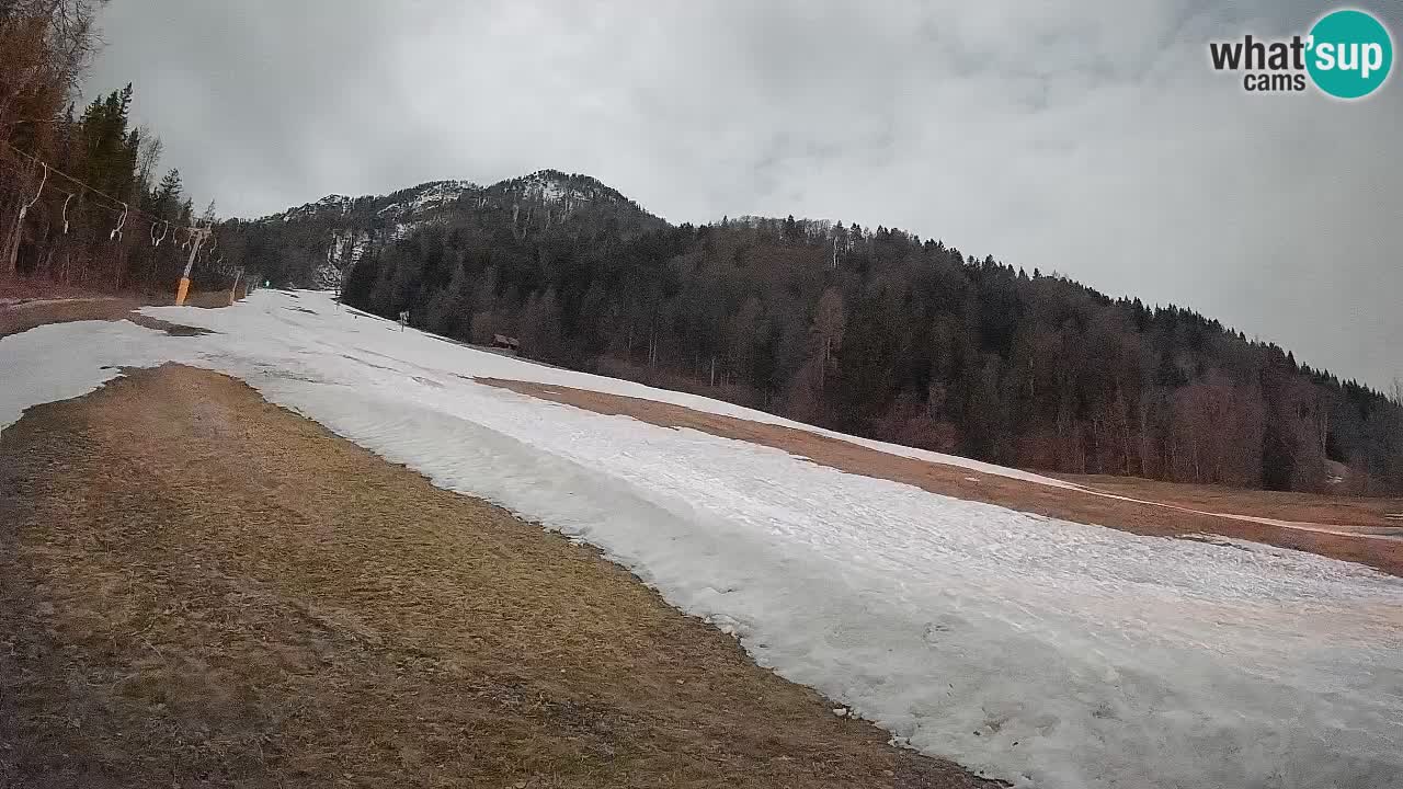 Ski Kranjska Gora | Brsnina
