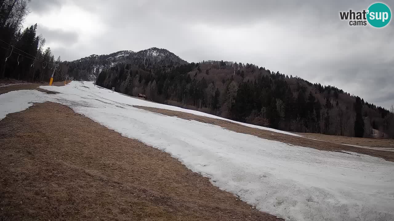 RTC Kranjska Gora | Brsnina