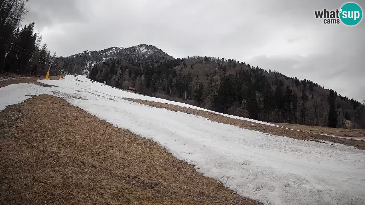 RTC Skigebiet Kranjska Gora | Brsnina