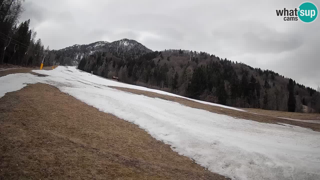 Esquí Kranjska Gora | Brsnina