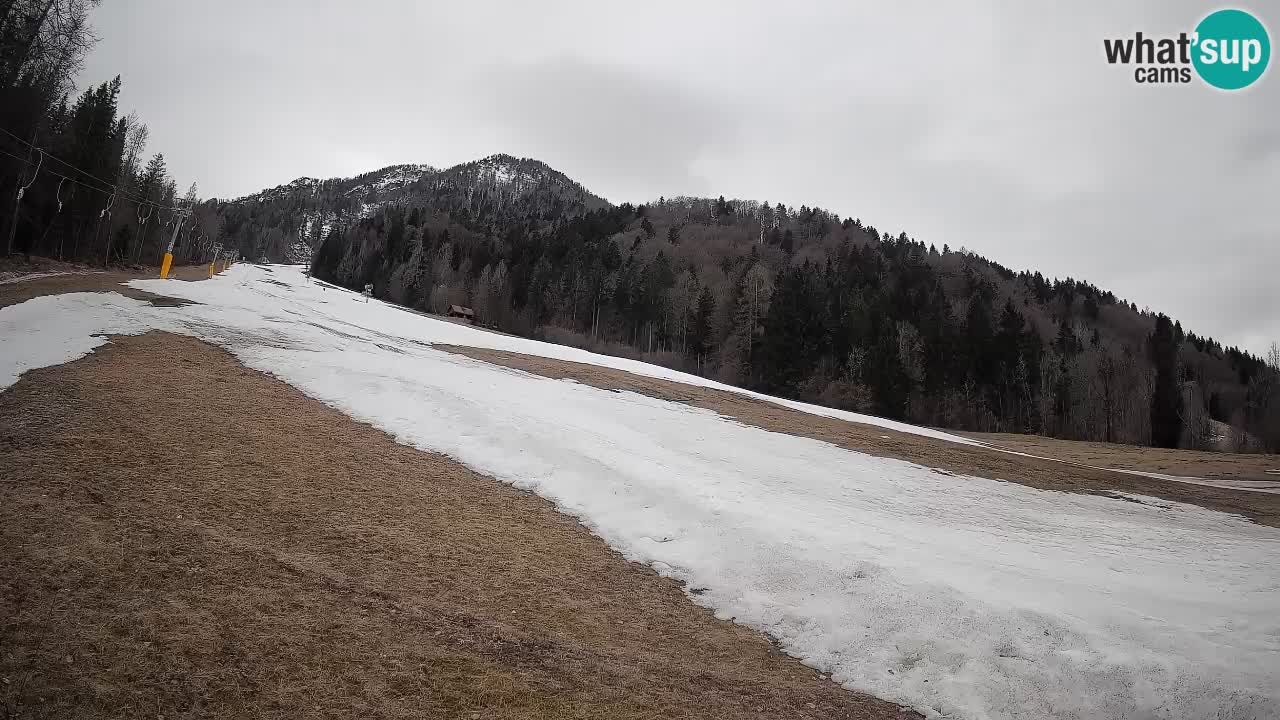 Ski Kranjska Gora | Brsnina